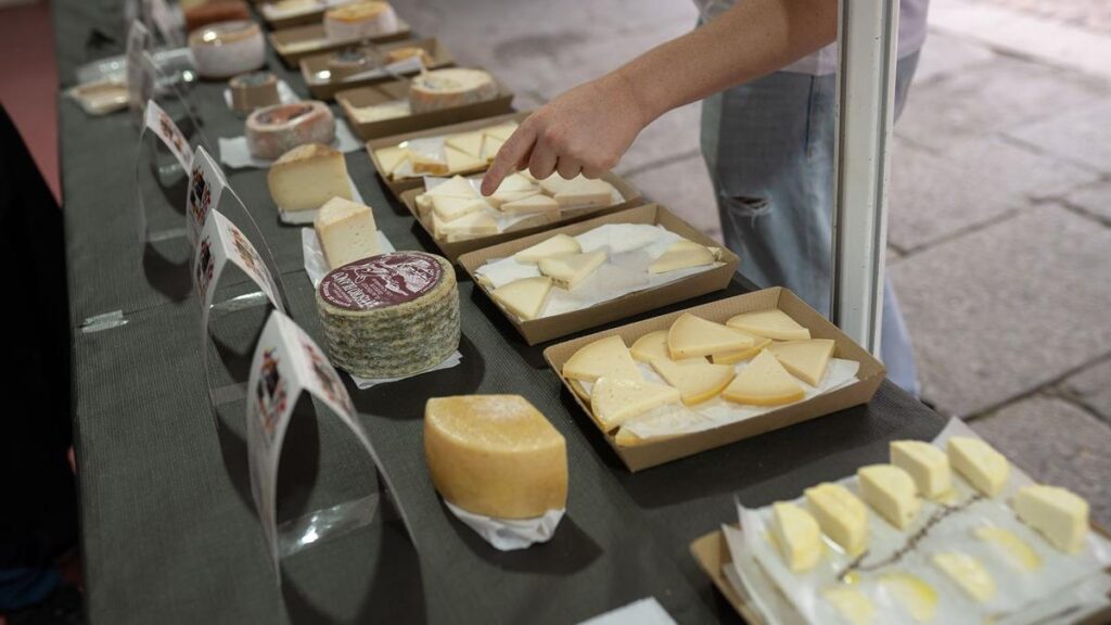 Fromago 2026 – Cheese Experience – Zamora - Fromago 2024 cheese fair confirms dates and venue in Zamora, but seeks funding