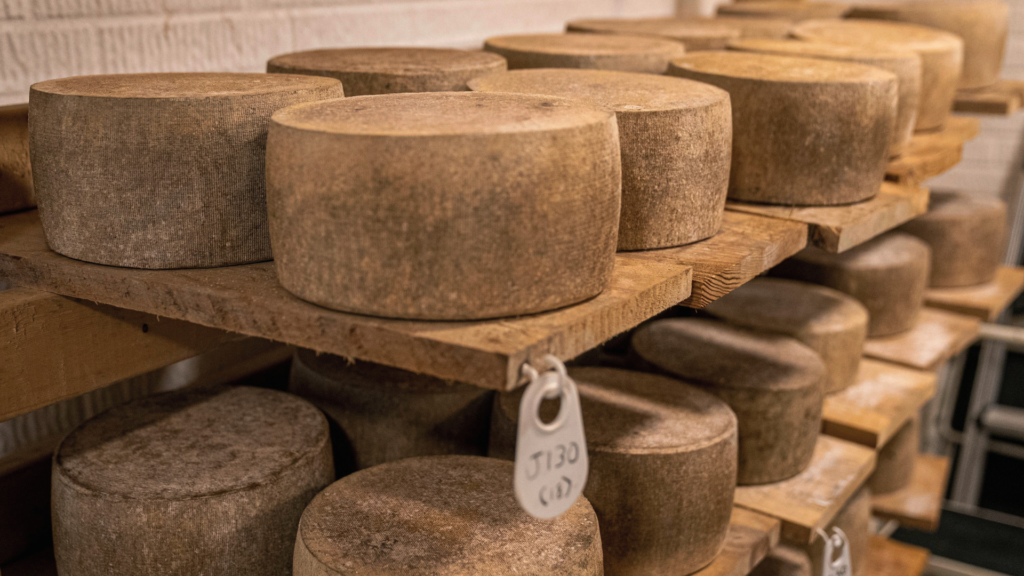 Fromago 2026 – Cheese Experience – Zamora  - El etiquetado del queso