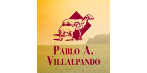 Logo - PABLO VILLALPANDO