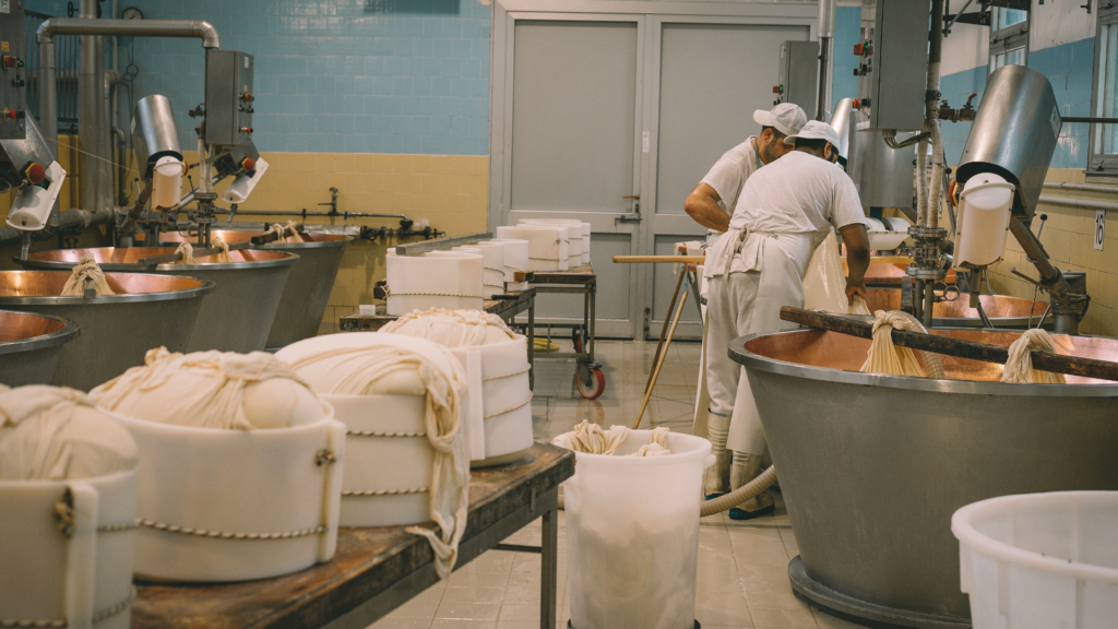 Fromago 2026 – Cheese Experience – Zamora  - ¿Cómo ha cambiado la elaboración del queso a lo largo de los años?