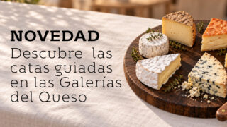 Siguiente