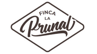 Siguiente