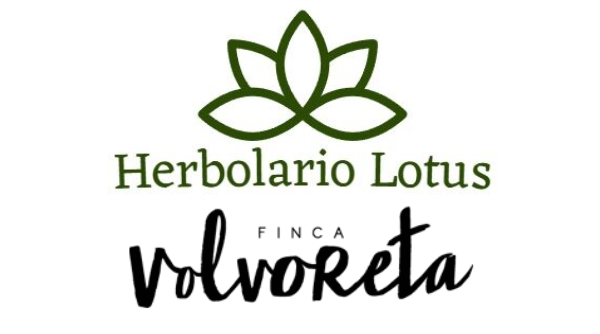 Logo - Herbolario Lotus/Vino Volvoreta